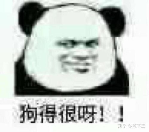 苏州市罗技电子厂怎么样