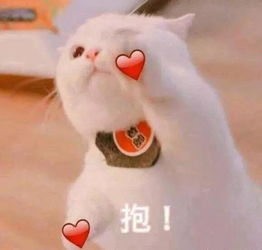 搞笑段子妹子说在房间里宅久了,准备去客厅遛弯