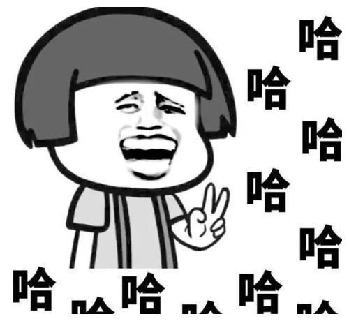 哈哈哈表情包搞笑图片邵东人