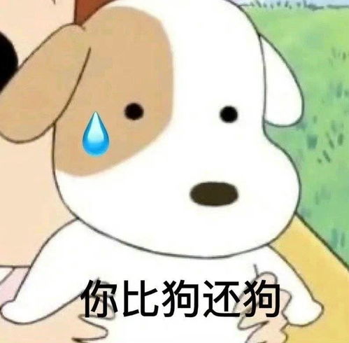 搞笑表情包来啦