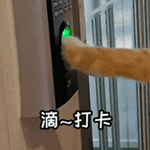 聊天必备搞怪表情包伤害我你就快乐了嘛