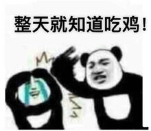 吃鸡表情包你忙你的,我打游戏