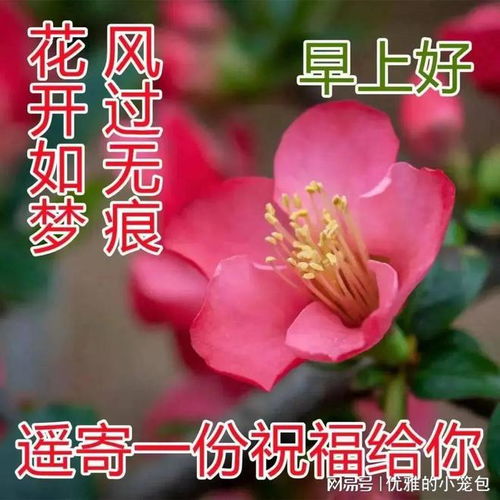 20231001今日最新早上好动画表情包2023创意好看的秋日早安问