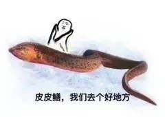 无水印黄鳝我们走表情包女主播与黄鳝的表情