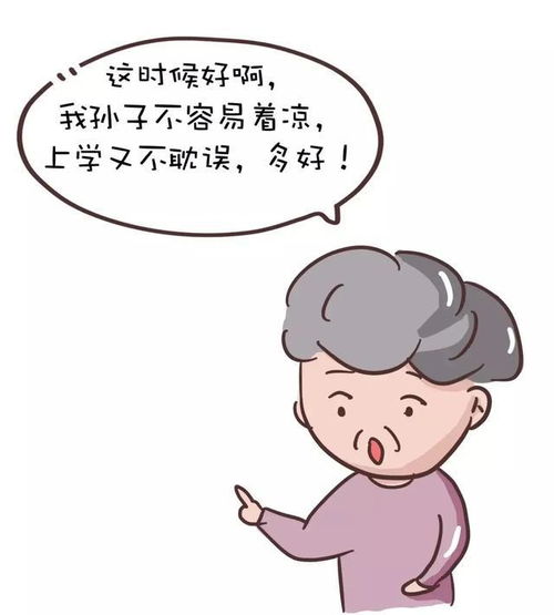 当婆婆遇上妈,真相了漫画
