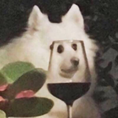 逗比微信头像搞笑图片微信奇葩逗比搞笑头像大全