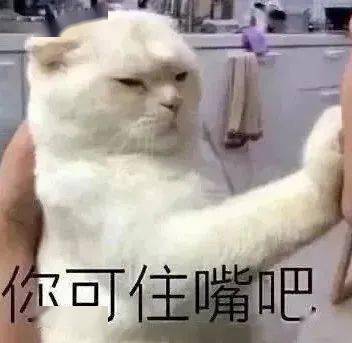 沙雕表情包佳祁一声哦买噶,我欠马云三万八the