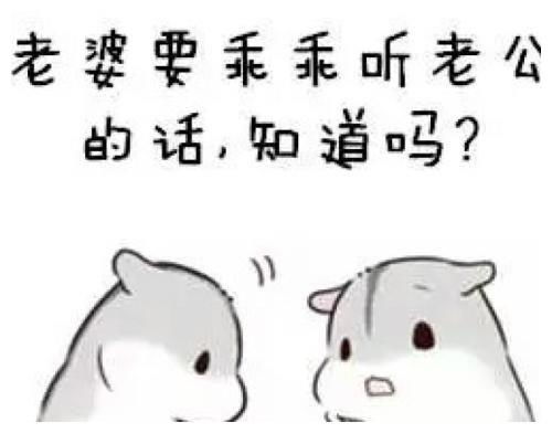 开心一刻前几天在去西安的火车上碰到一哥们哈利斯