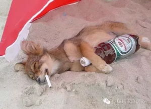 糖尿病人怎样喝酒看完这篇掌握分寸