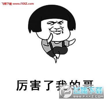 厉害了我的哥系列表情包厉害了我的哥搞笑表情包无水印版下载飞翔下载