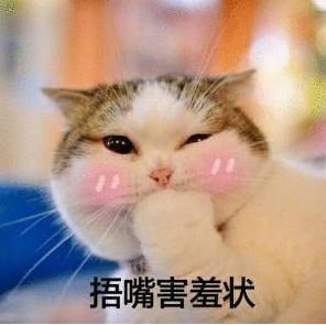 快给我变表情包快给我变猫娘表情包