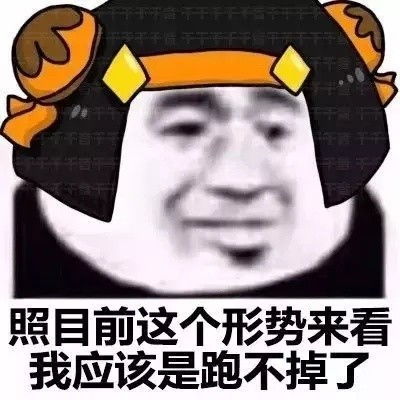 搞笑照目前这个形势来看,我应该表情包之王者荣耀版
