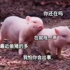 沙雕搞笑表情图很生气也不敢胡闹,怕自己不够重要