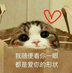 郑秀妍为郑秀晶庆生我也想要这样的姐姐