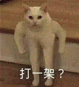 这些爆笑表情,能让我体会到虐哭损友气炸男朋友的爽感