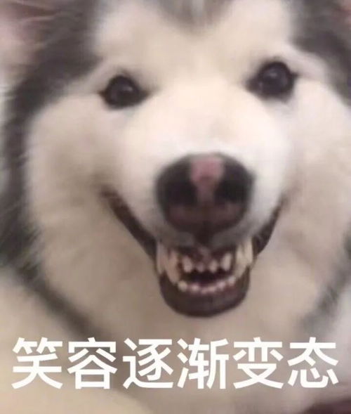 这些沙雕产品,简直是把我的智商按在地上摩擦