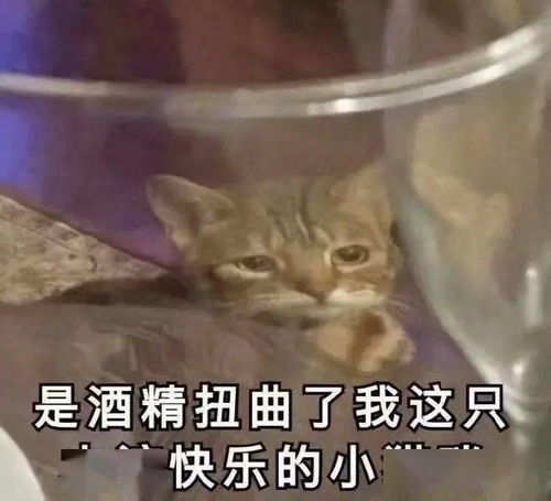 我的梦想就是这样被人包养