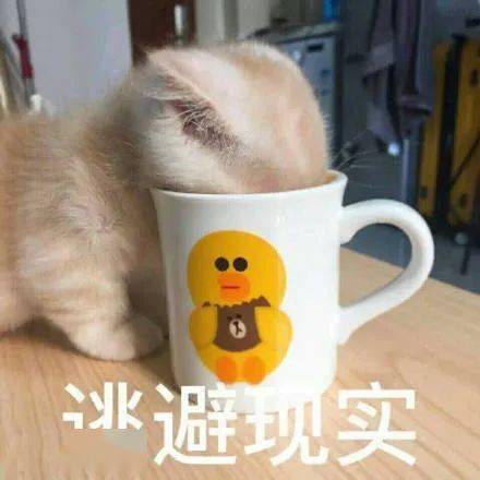 表情包沙雕必备表情包