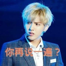 有没有类似于这样的exo的带字搞笑图