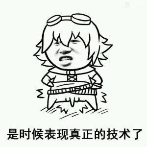 英雄联盟系列超搞笑表情包,是时候展现真正的技术了