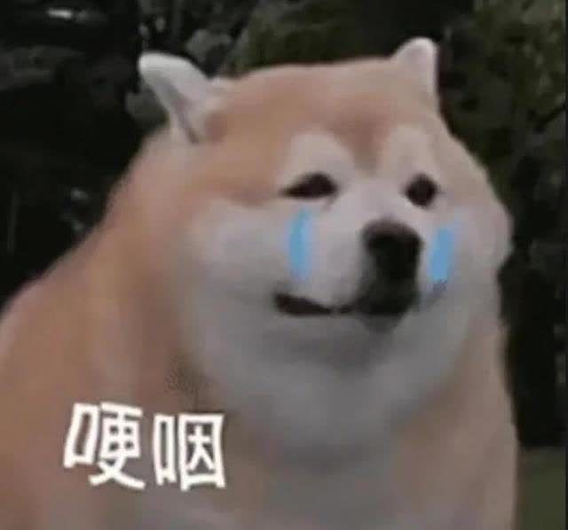 表情包狗狗祟祟