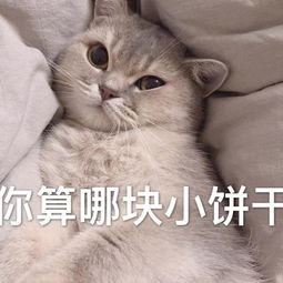 150多张聊天必备表情包大全