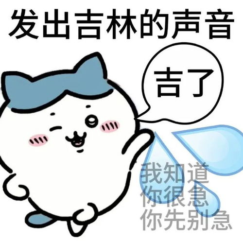超搞笑的表情包发出了来自五湖四海的声音