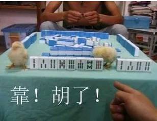 爆笑gif图片这是喝了多少酒呀,淑女形象彻底没有了