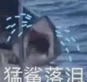 2021搞笑表情包台风