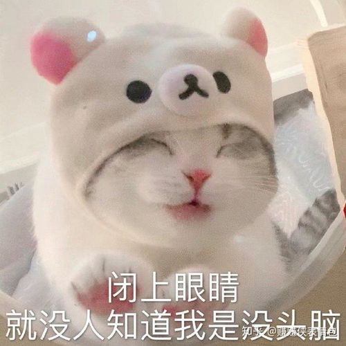 搞笑的图片表情包开心一笑