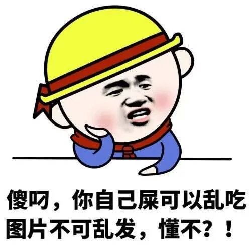 堆糖,美好生活研究所