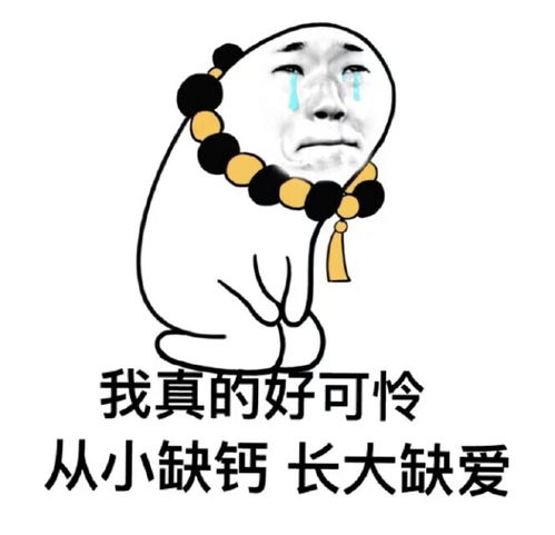 意境美图同人动物键盘壁纸大海搞笑g堆糖,美好生活研究所