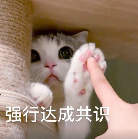 搞笑表情包更新我懂的,这就是生活