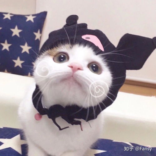 情侣猫头像卡通猫吃鱼