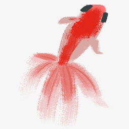 手绘水墨金鱼红色插画图片素材其他格式下载动漫人物大全