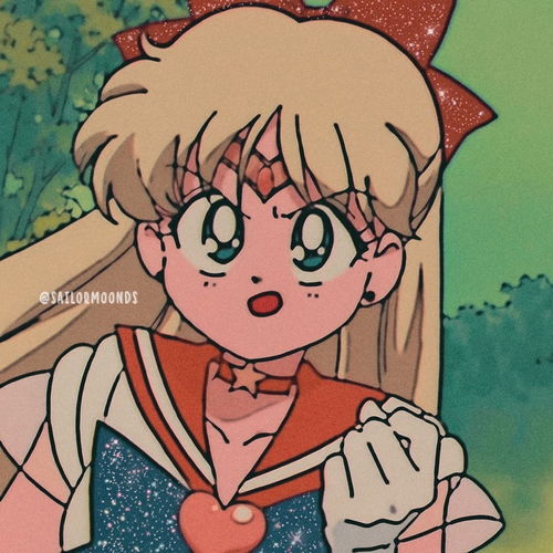 复古动漫女头美少女战士爱野美奈子