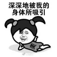 41.6蚊子被热死蚊子这个国家太特么热了
