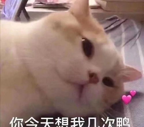 搞笑gif开心一刻妹子,心里素质真好