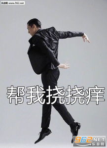 仙女本仙胡歌表情包感觉这把要自摸了胡歌搞笑表情包图片下载乐游网游戏下载