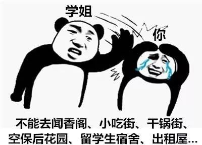 搞笑一组学姐表情包,学姐你不管在什么场合,都要叫学姐好