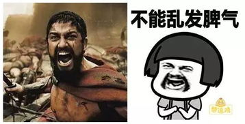 爆笑图片表情包谁都有,但原型你见过吗