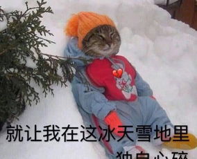 搞笑表情包配字沙雕