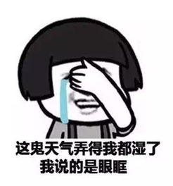南方回南天搞笑表情包,南方潮湿天气搞笑表情包