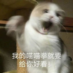 女生跑八百米时,心里想的居然是xswl戏都这么足吗