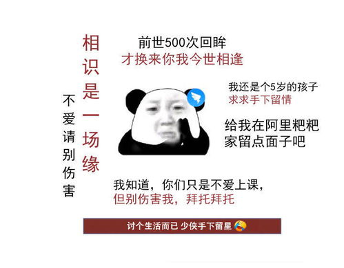 最前线钉钉写给小学生的求饶之歌很有趣,但这是网络暴力的又一次轻松胜利