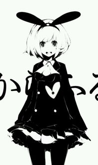 森兔子的收藏夹zcool