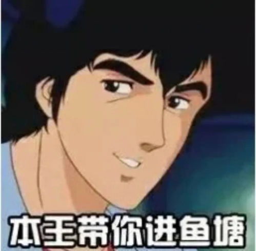 拽酷女生文案揭秘霸道女总裁的日常用语