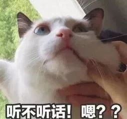 地铁直达五一假期深圳又多一个好玩的地方留深的人别错过啦