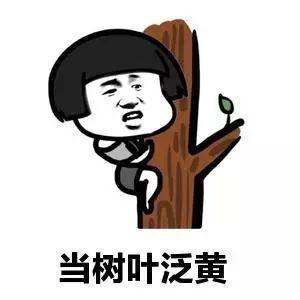 开心一笑老婆坐沙发上追剧,俺连续给她冲了几杯咖啡
