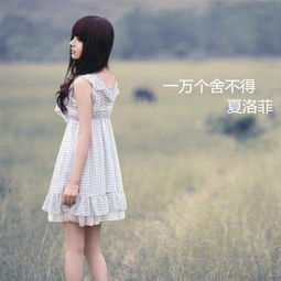 一万个舍不得伴奏夏洛菲高音质在线试听一万个舍不得伴奏歌词歌曲下载酷狗音乐